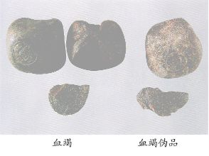 血竭（Xuejie）Sanguis Draconis