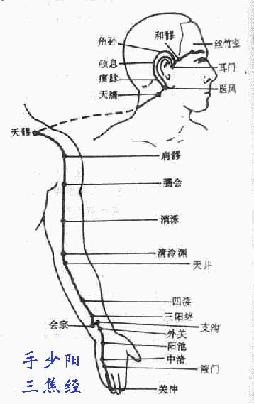 手少阳三焦经