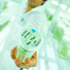 联合国设立针对发展中国家的生物技术网络