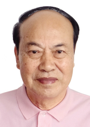 卢芳主要成就