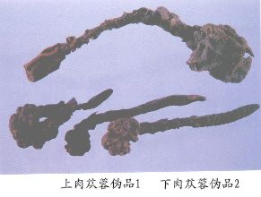 肉苁蓉伪品（1）--蛇菰（Shegu）