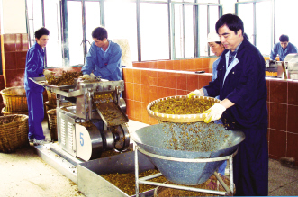 中药注册“独立”在即