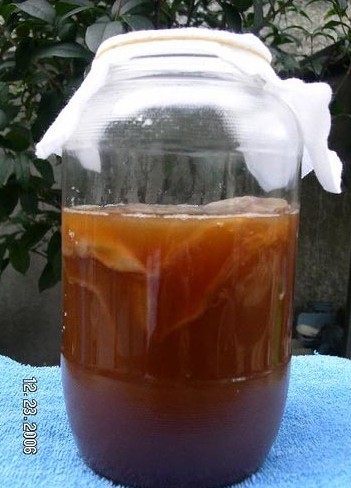 “海宝”茶治病