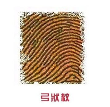 右手食指透露你的爱情秘密
