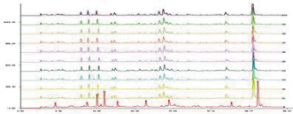 神威清开灵注射液——品质更高、安心首选
