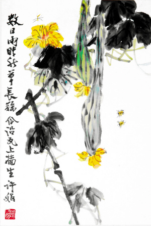 药食同源说丝瓜