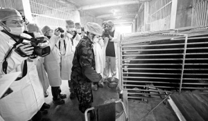 “活熊取胆”疑云依然很浓