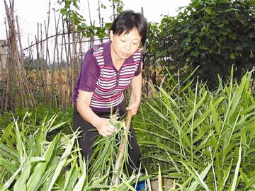 女子唤醒植物人丈夫带其返乡照料