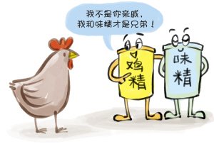 专家称鸡精并非从鸡肉中提炼 主要成分是味精