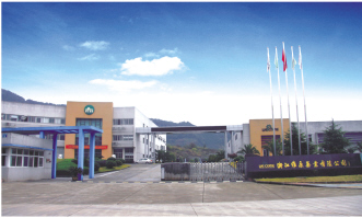 浙江维康：顺势升级绘全产业链蓝图