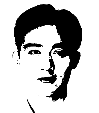 监管型国家建设的中式选择