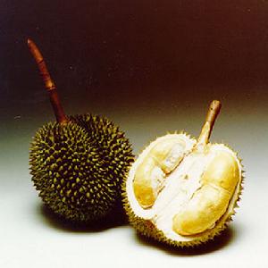 健康指南：榴莲味道虽怪 营养极其丰富