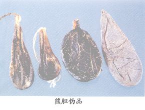 熊胆伪品--假熊胆（Jiaxiongdan）