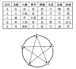 五行在中医中如何运用