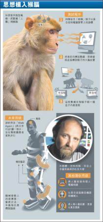 科学家首次捕捉到疟原虫入侵并摧毁人体红细胞
