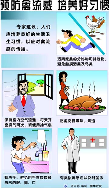 如何预防禽流感？