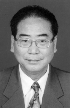加减通窍活血汤