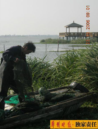 从阳澄湖大闸蟹风波看政府危机公关