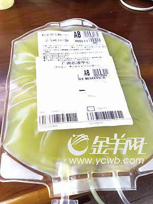 “黑血”交易追踪：广州将建立“活血库”