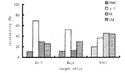 γδ Τ细胞、NK细胞及LAK的生物特性比较