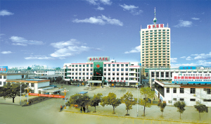 一个县医院的医改思考