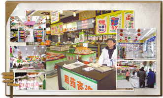 到药店赏春