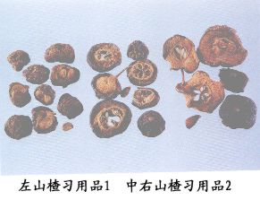 山楂习用品（2）--广山楂（Guangshanzha）