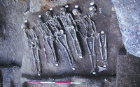 科学家破译“瘟疫之母”基因组
