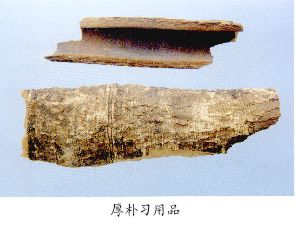 厚朴习用品--腾冲厚朴（Tengchonghoupo）