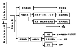 乳腺癌筛查手段面面观
