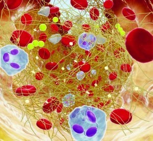 网传婚姻“7年之痒”因全身细胞7年换一遍