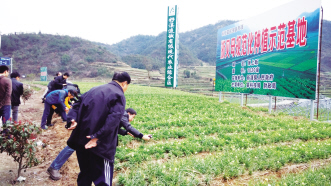 2014中药材生产完善三大平台