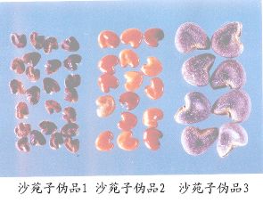 沙苑子伪品（1）--猪屎豆（Zhushidou）