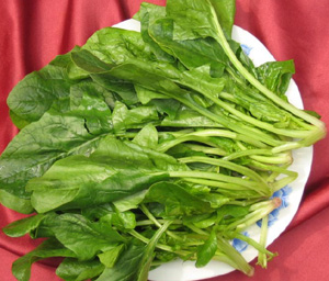 十大永远吃不胖的瘦身食物