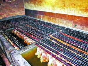 东莞查获病死猪制毒腊肉 两年来日产5000斤