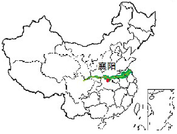 一个“癌症村”的治污史