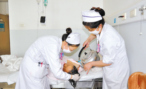 办边疆人民满意的医院——云南省个旧市人民医院改革创新亮点纷呈