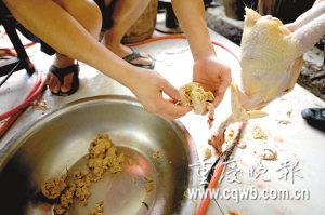 商贩为给活鸡增重用石粉灌进鸡胃