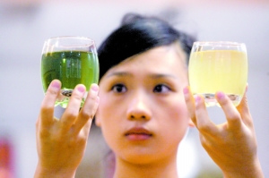 金银花泡的茶是墨绿色？制造商：绿原酸含量高