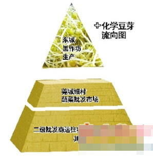 东莞东城黑作坊用化学剂催熟豆芽日产数千斤
