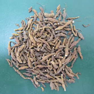 端午习俗挂菖蒲