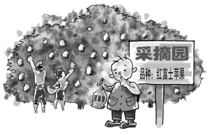 “药袋苹果”的光鲜与黑洞