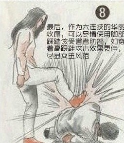防狼术8
