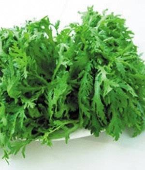 山茼蒿