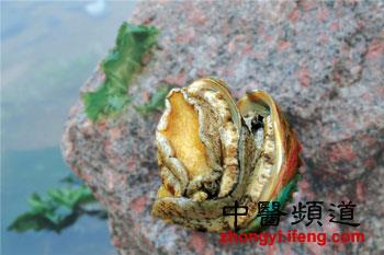昂贵滋补品的平民替代品
