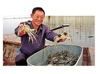 抗关节炎药物海风吹拂
