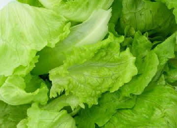 健康指南：生菜的营养价值