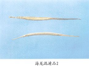 海龙混淆品（2）--宝林海龙（Baoliahailong）