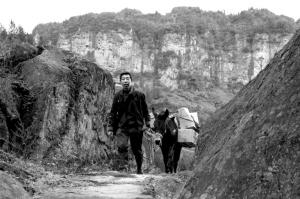 骡背上的乡村医生