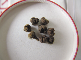 姓氏之差的茱萸